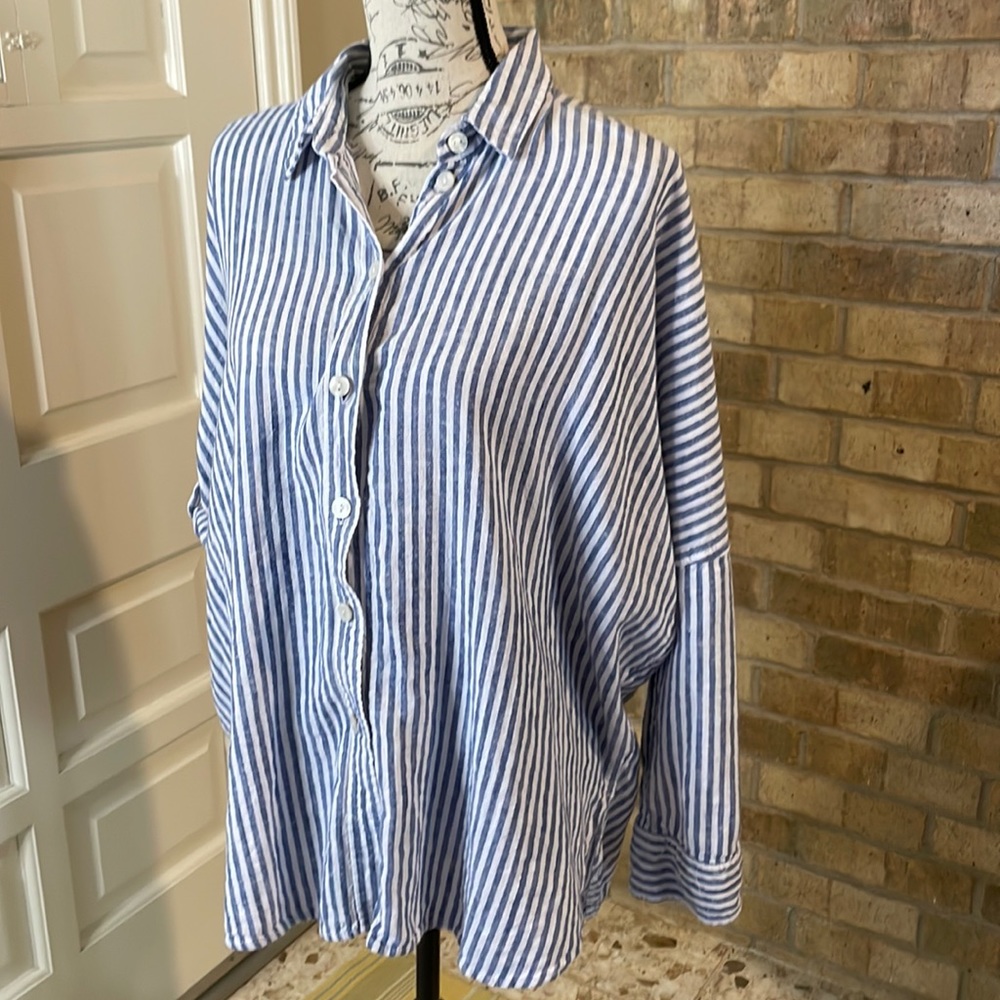 American Eagle Outfitters Blue and White Striped Button Down Shirt